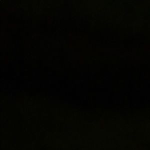 Meet your Posher, Timirra